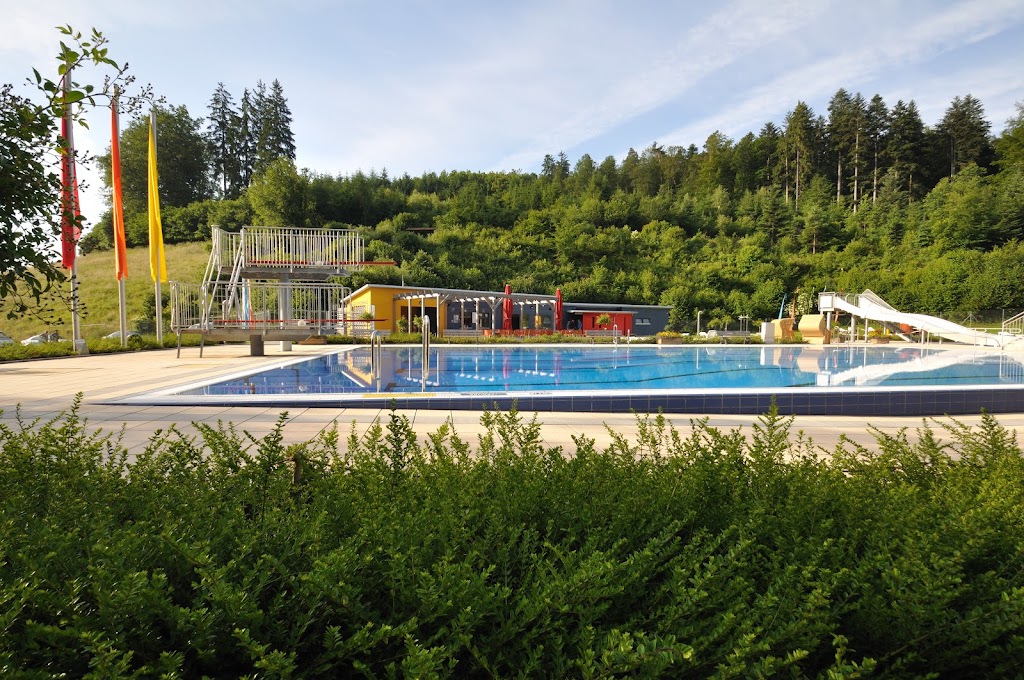 Bild von Waldschwimmbad Buchen