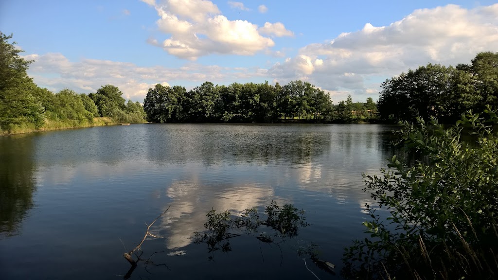 Bild von Großer Teich