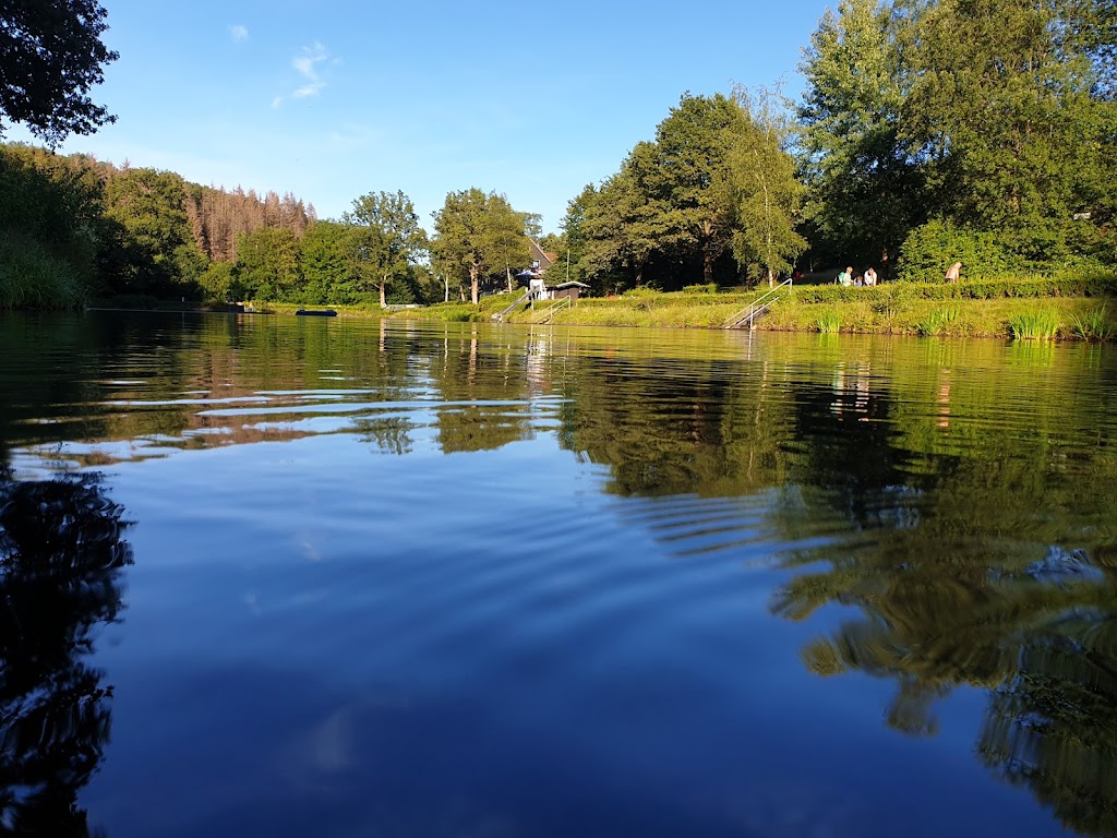 Bild von Seelbacher Weiher Siegen