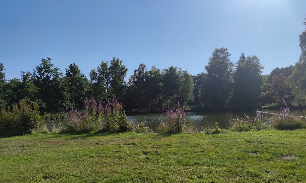 Bild von Naturfreibad Krombach