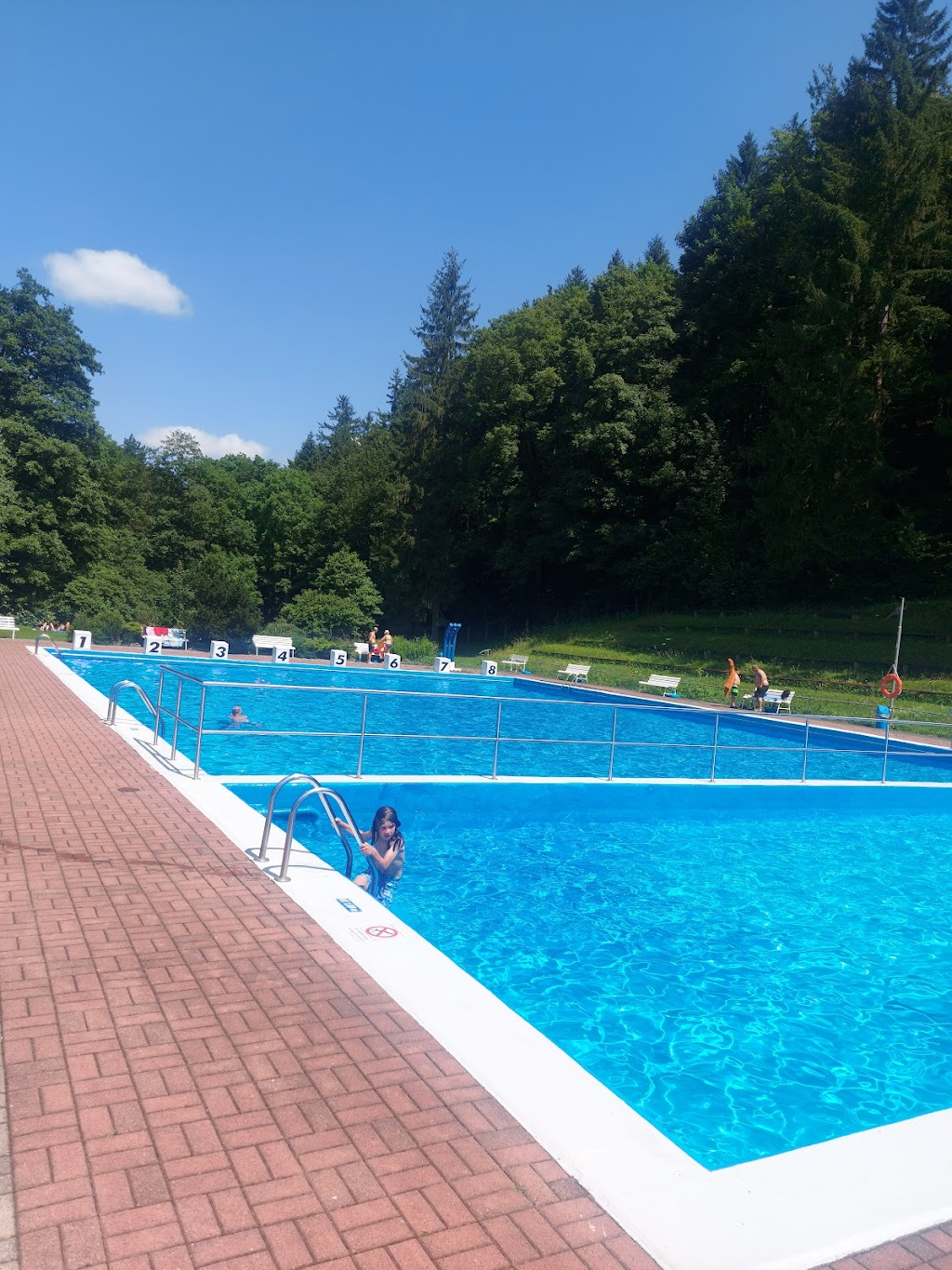 Bild von Waldschwimmbad Schönau v.d.W.