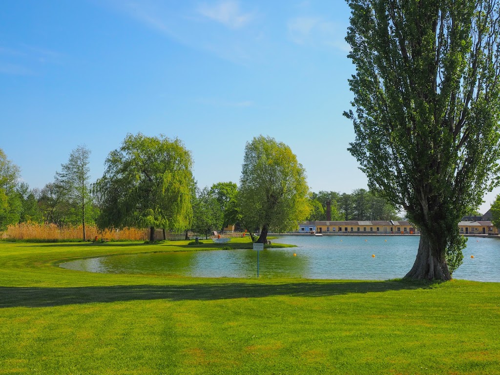 Bild von Naturbad Mockritz
