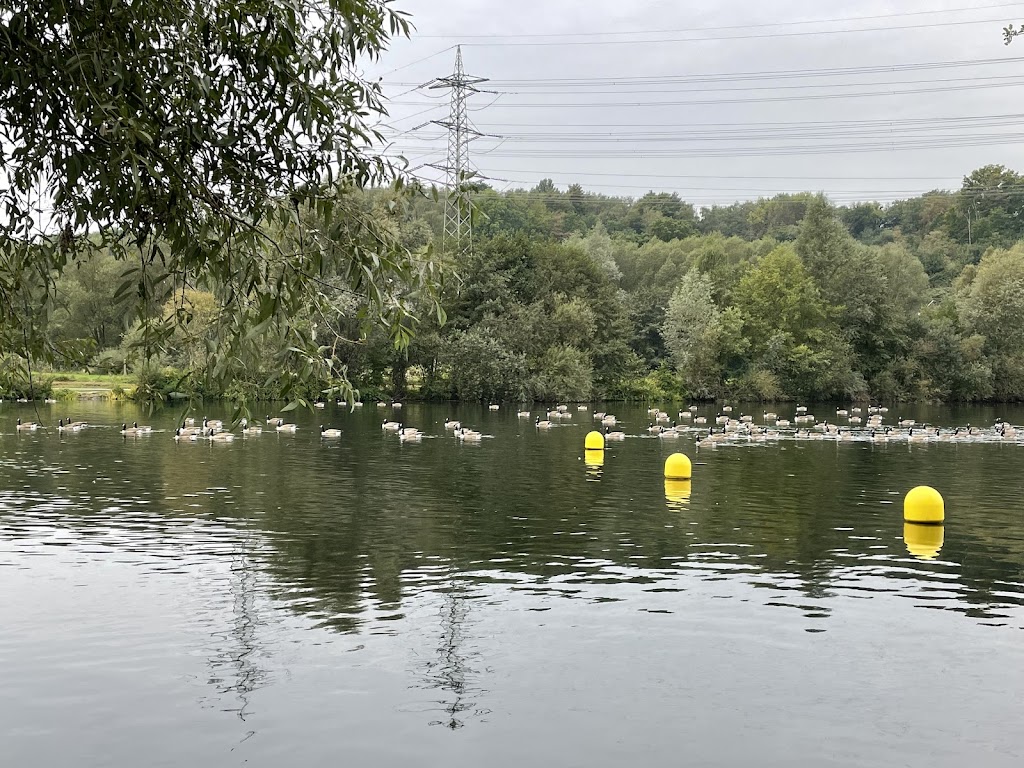 Bild von Badestelle Bochum-Dahlhausen