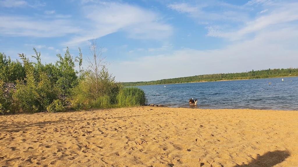 Bild von Badestrand Zwenkauer See