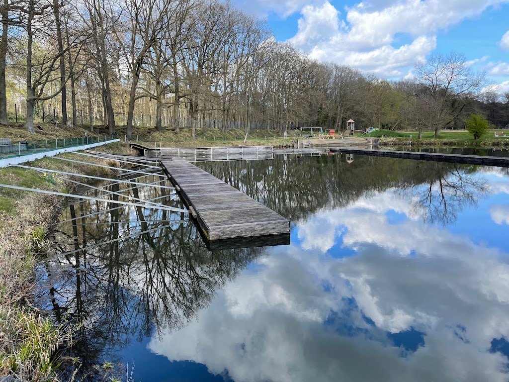 Bild von Naturschwimmbad Tonwerke