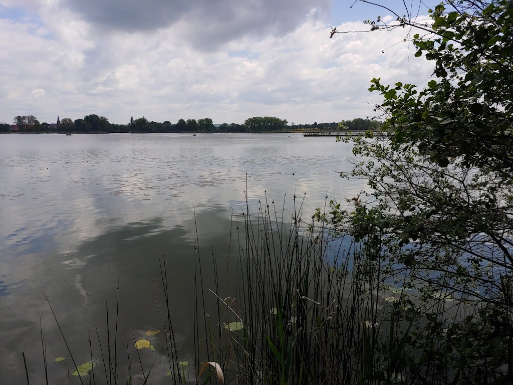 Bild von Naturschwimmbad Seeburger See