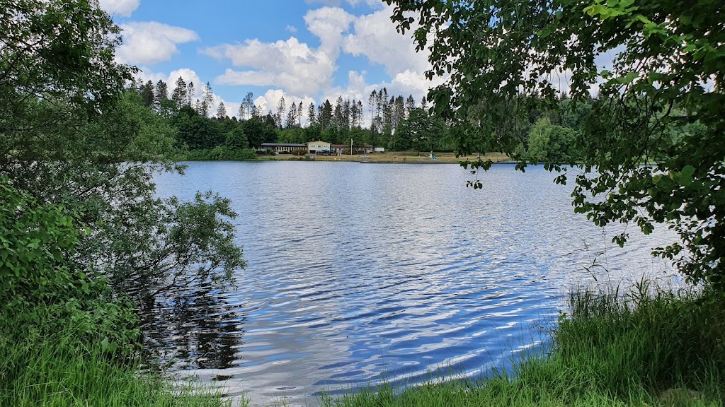 Bild von Waldseebad