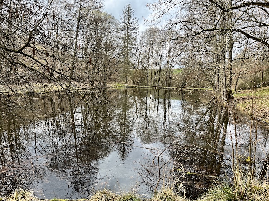Bild von Freibad Urbach