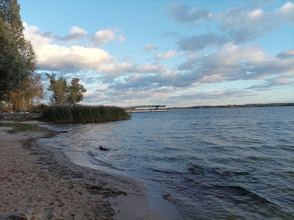 Bild von Badestrand Senftenberg
