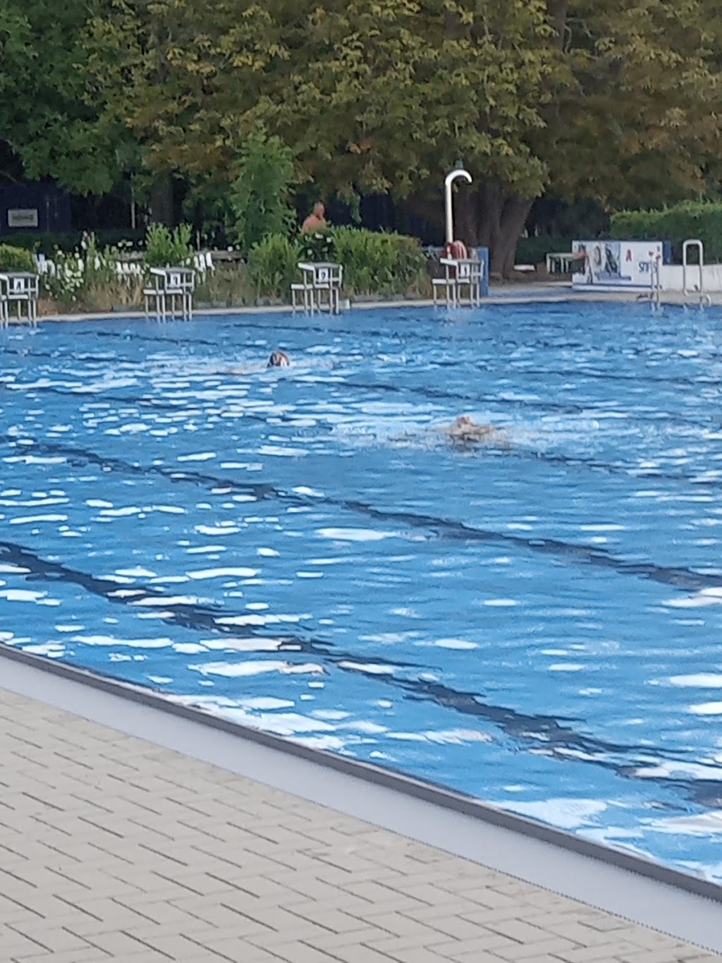 Bild von Mindener Sommerbad