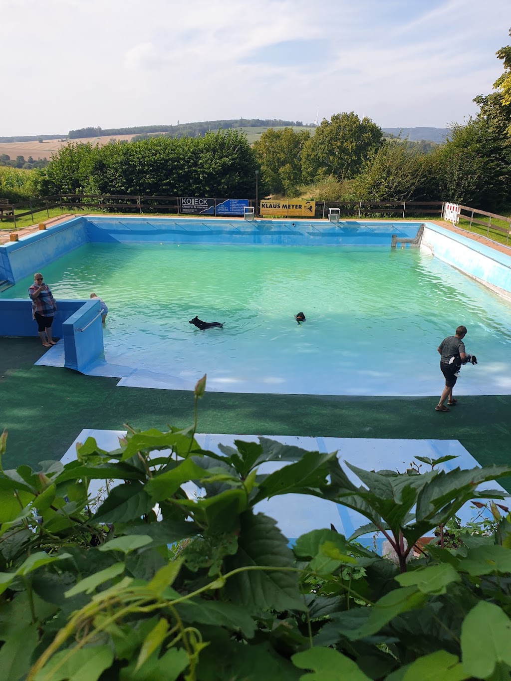 Bild von Waldbad Altenhagen