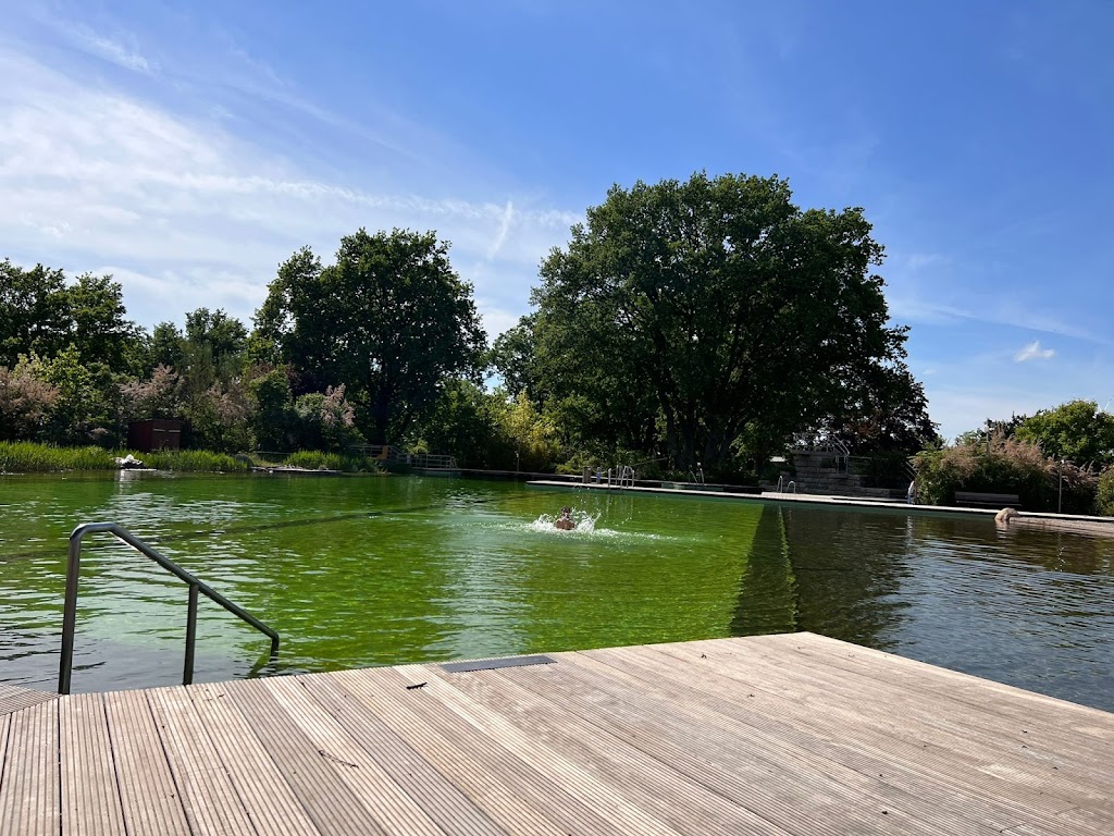 Bild von Naturbad Bardowicker beach