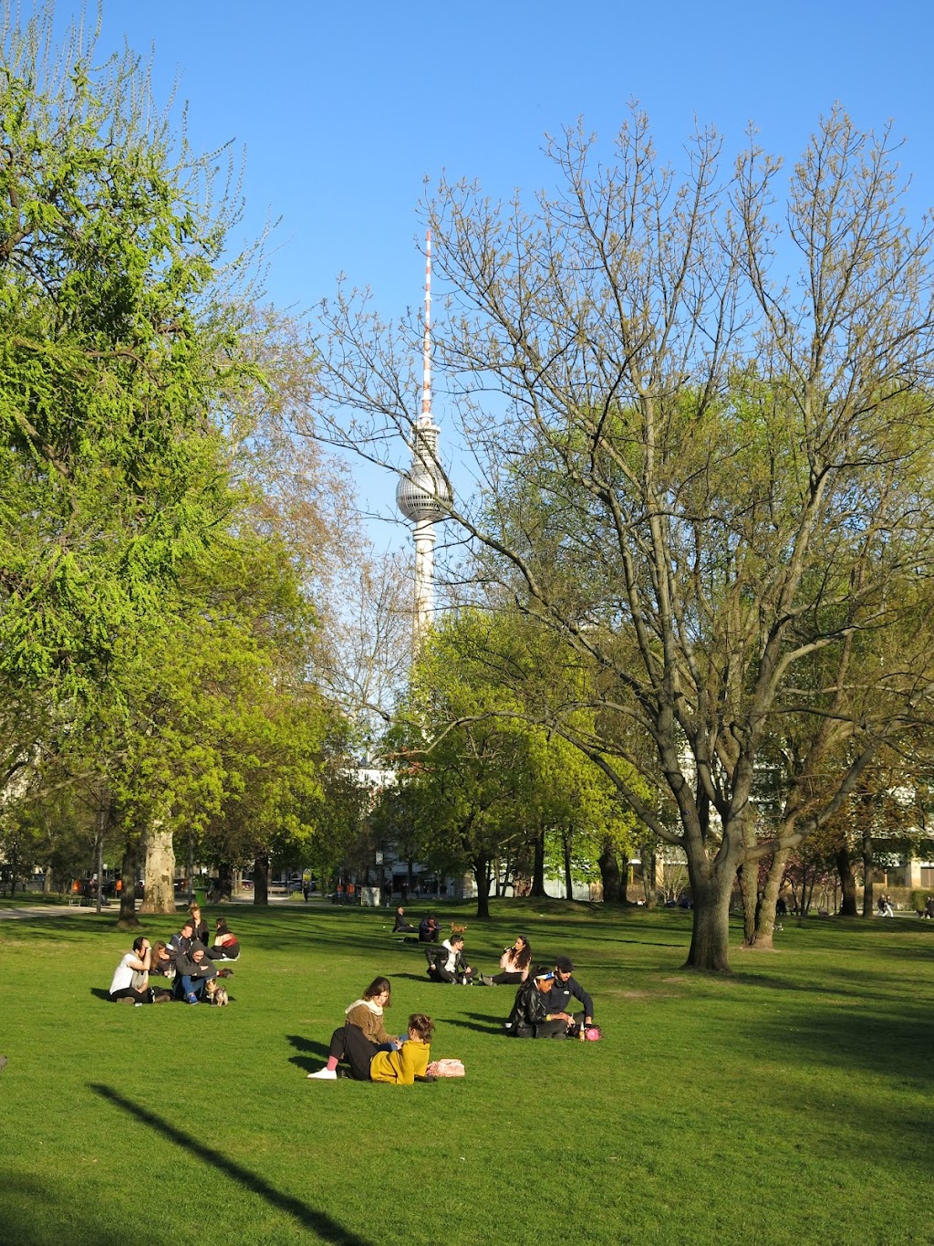 Bild von Monbijoupark