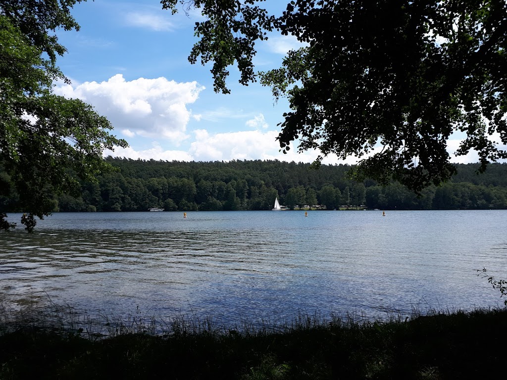 Bild von Liegewiese am Stein