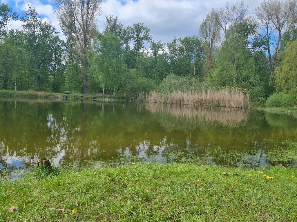 Bild von Alte Bernauer Badeanstalt