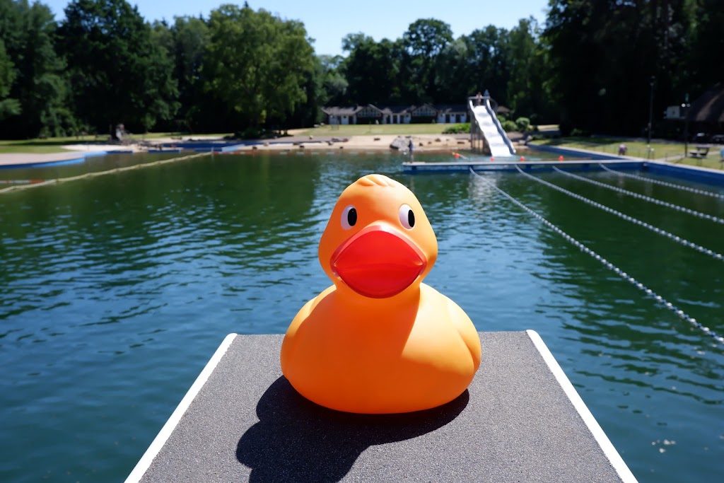 Bild von Outdoor pool Quellenbad Schneverdingen