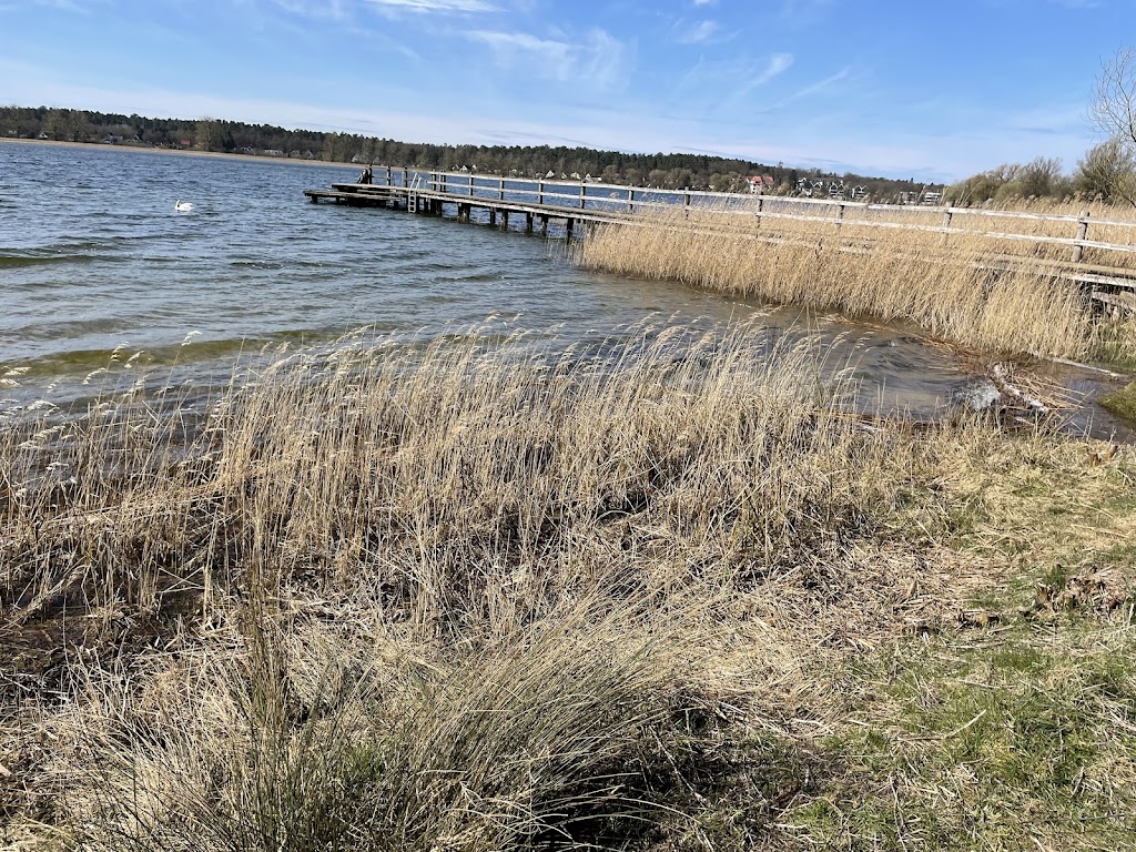 Bild von Badeplatz am Feisnecksee