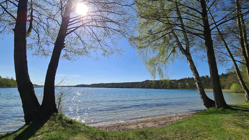 Bild von Lichtenberger Badestrand