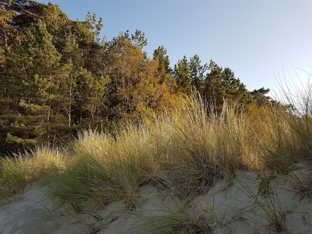 Bild von FKK-Strand Lubmin