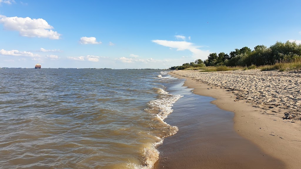 Bild von Elbstrand Krautsand