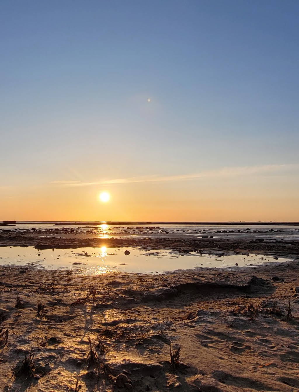 Bild von Schlüttsiel Badestrand