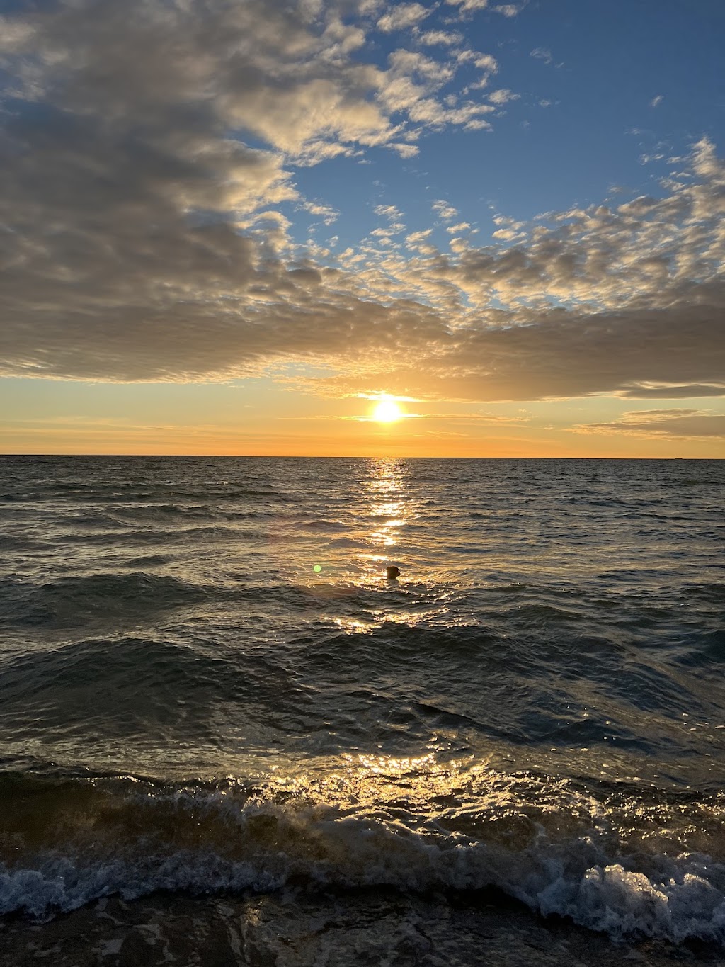 Bild von Hundestrand Wustrow