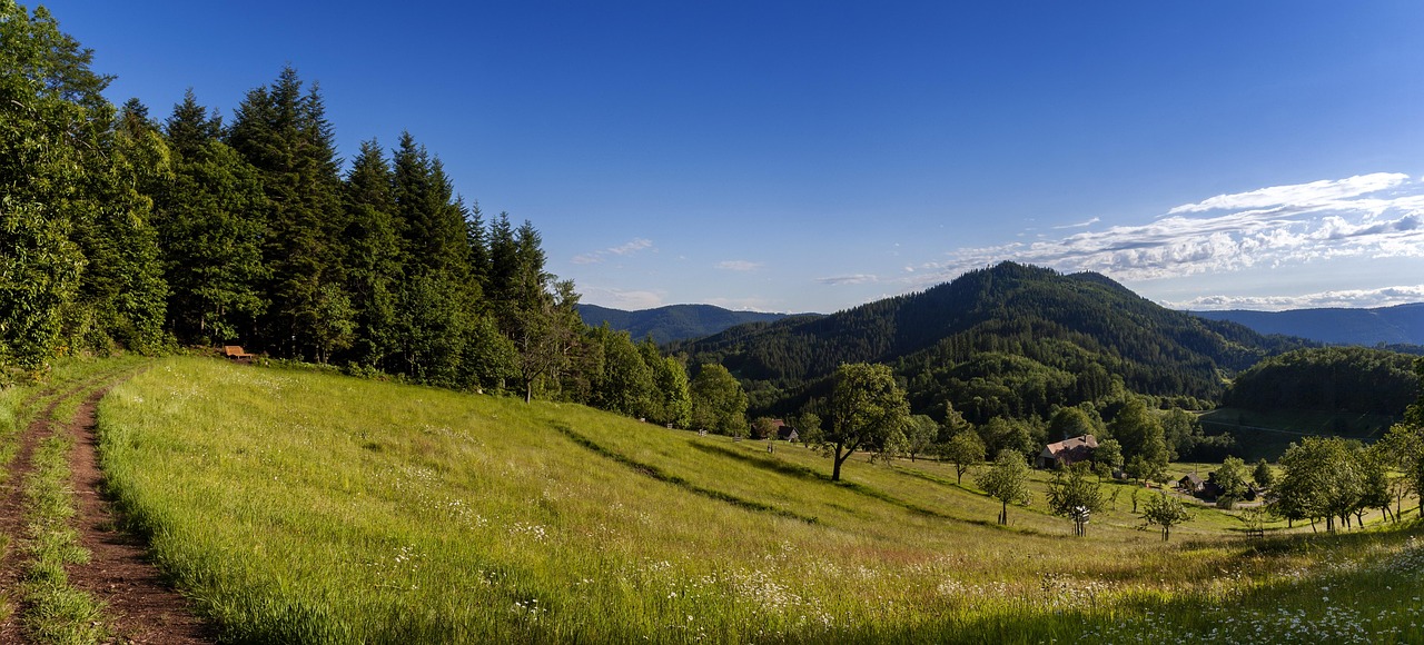 Titelbild für Die schönsten Freibäder im Schwarzwald